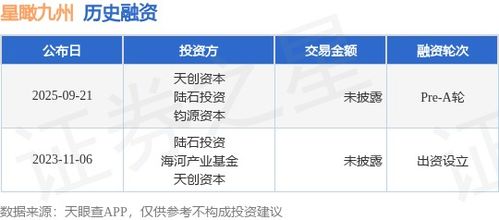 星瞰九州完成Pre-A輪融資，天創資本與陸石投資領投，加速信息技術咨詢業務發展